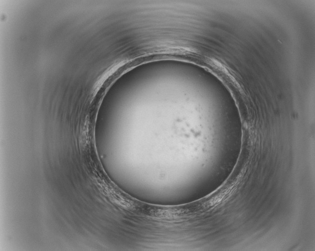 X0000060240875200510311519