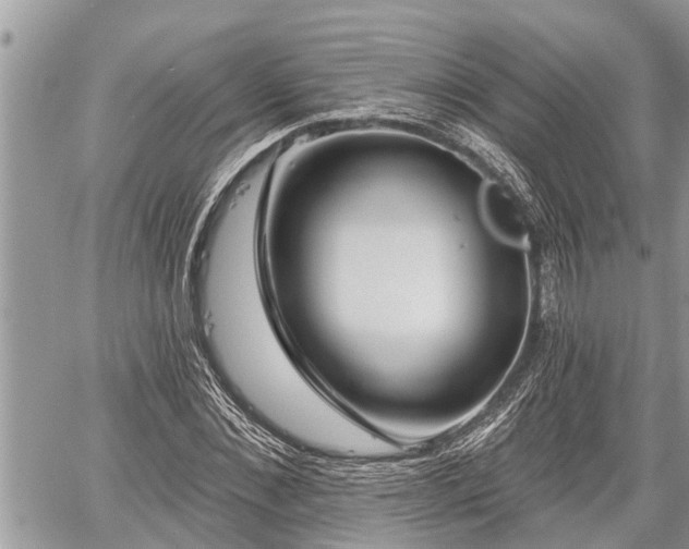 X0000060240876200510311519