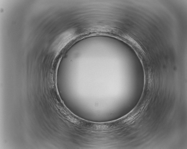 X0000060240878200510311519