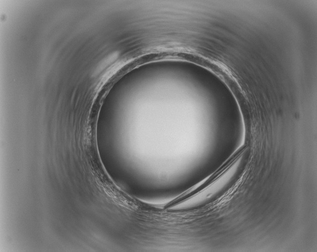 X0000060240879200510311519