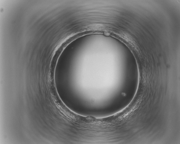 X0000060240880200510311519