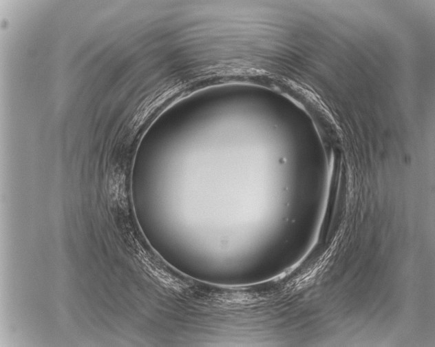 X0000060240881200510311519