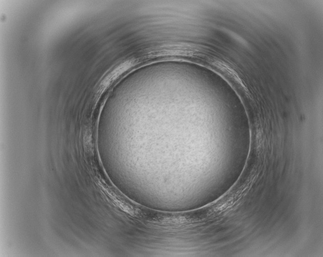 X0000060240882200510311519