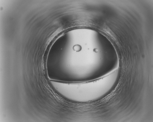 X0000060240883200510311519