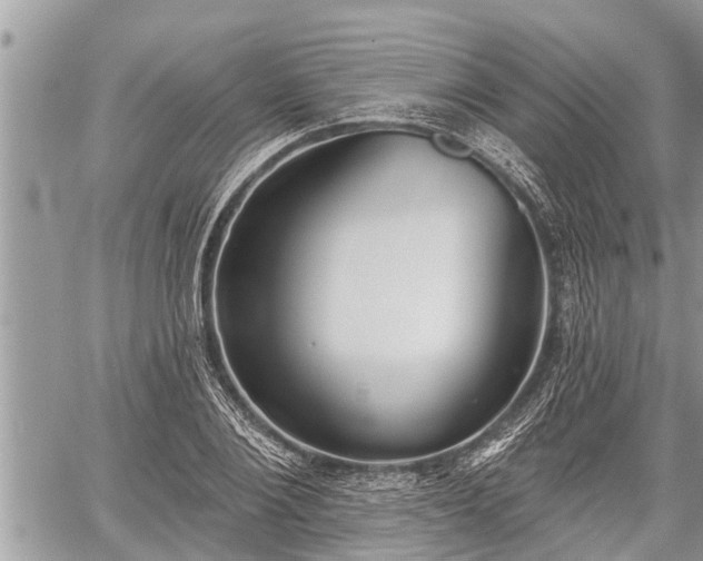 X0000060240884200510311519