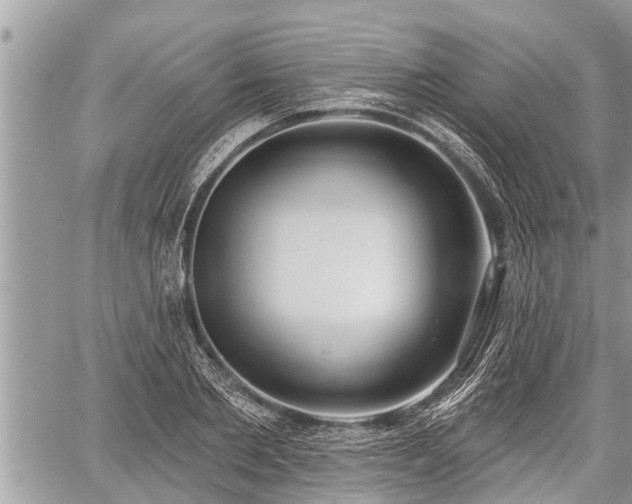 X0000060240885200510311519