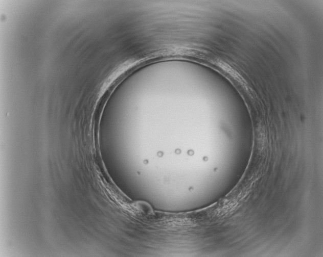 X0000060240886200510311519