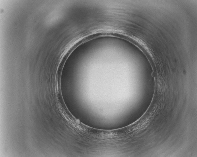 X0000060240887200510311519