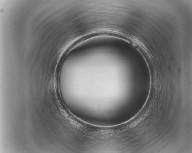 X0000060240888200510311519