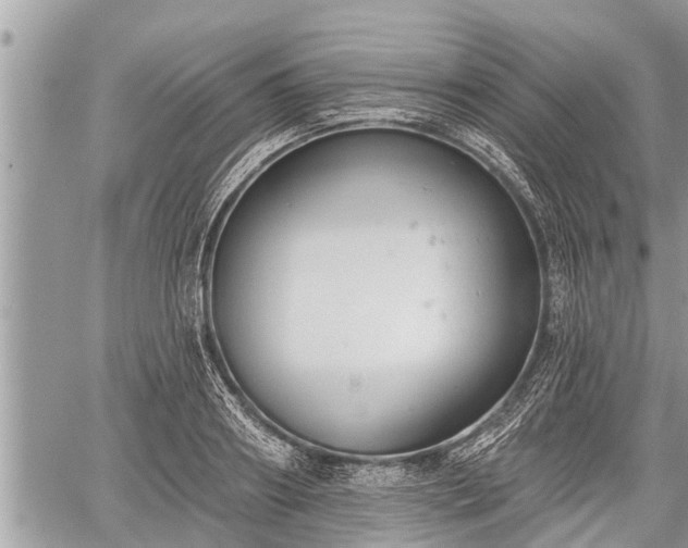 X0000060240890200510311519