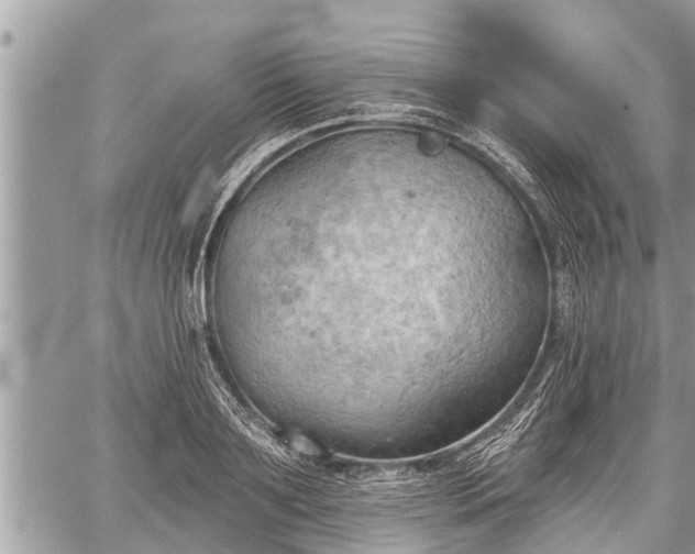 X0000060240891200510311519