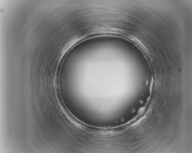 X0000060240893200510311519