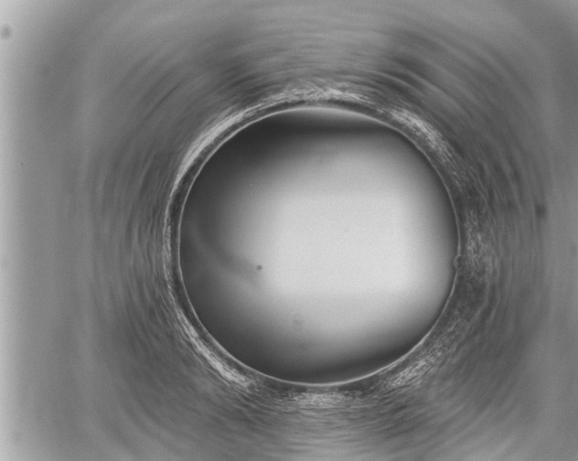 X0000060240894200510311519