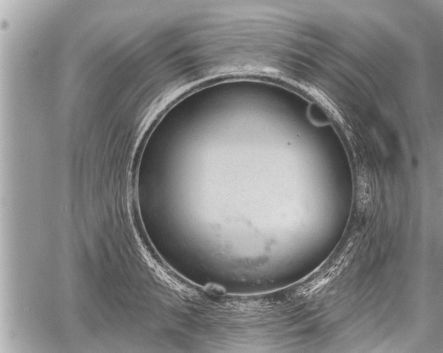 X0000060240895200510311519