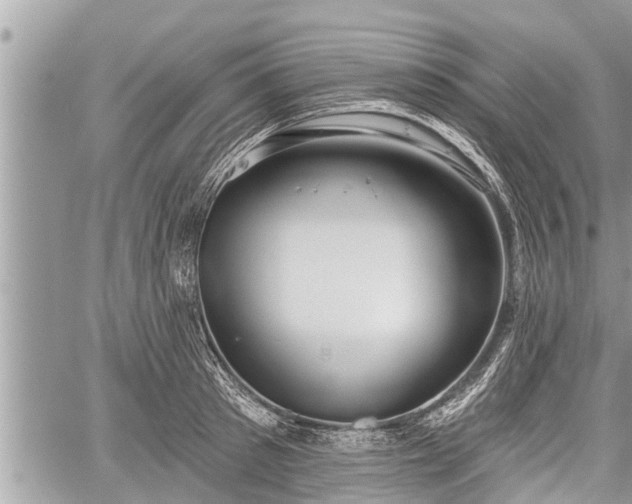 X0000060240897200510311519