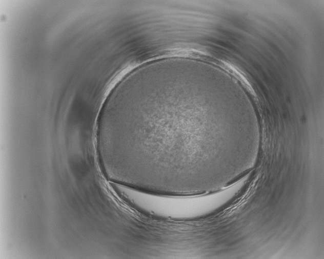 X0000060240899200510311519