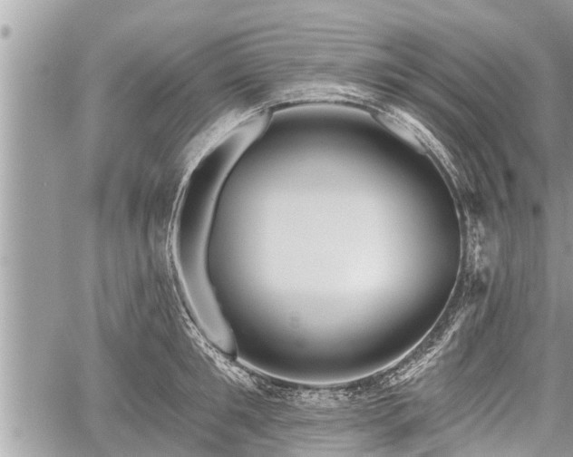 X0000060240901200510311519