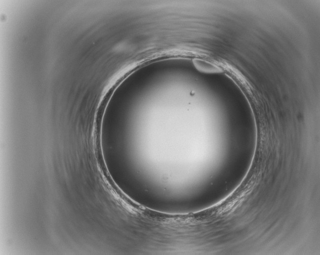 X0000060240902200510311519