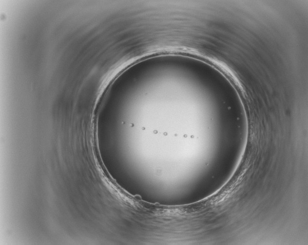 X0000060240903200510311519