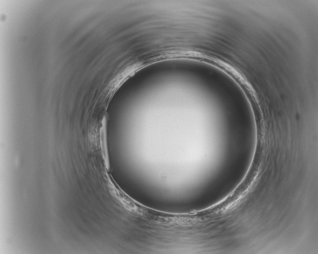 X0000060240905200510311519