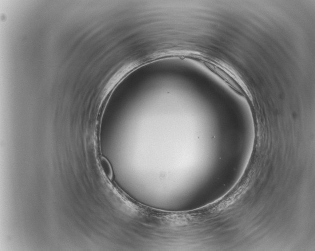 X0000060240906200510311519