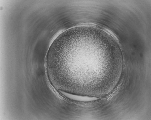 X0000060240907200510311519