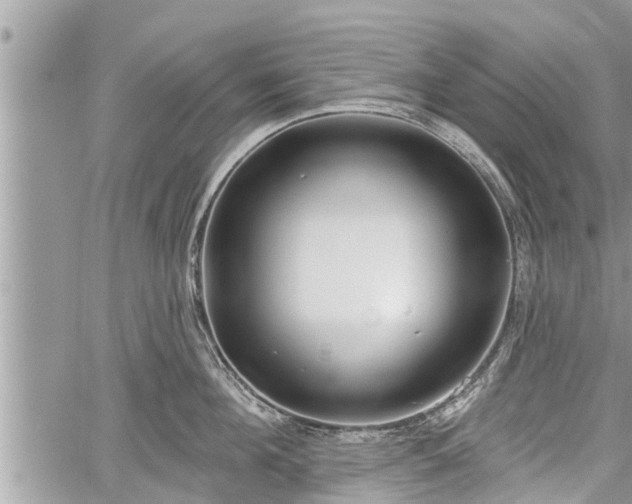 X0000060240908200510311519