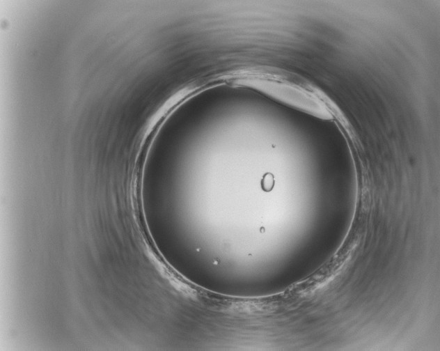 X0000060240909200510311519