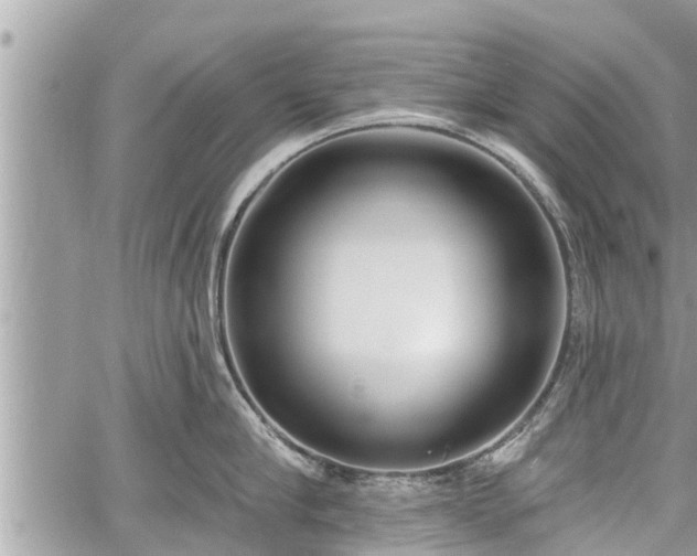 X0000060240910200510311519