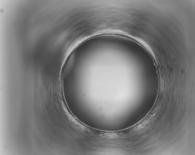 X0000060240911200510311519