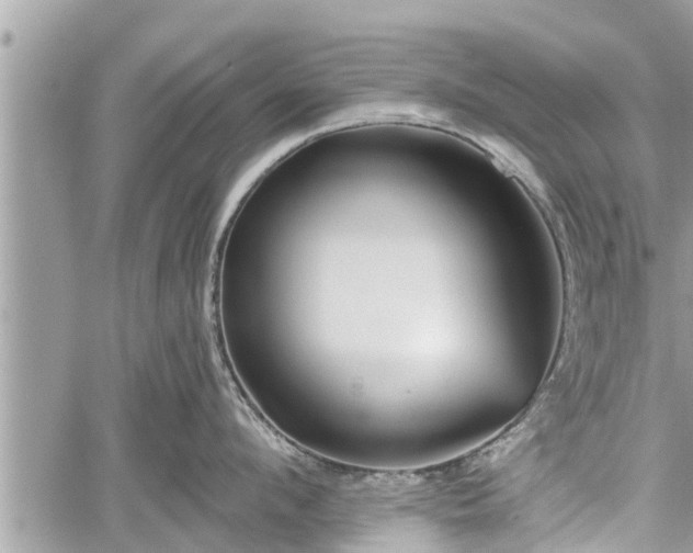 X0000060240912200510311519