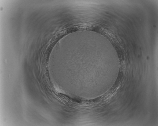 X0000060240913200510311518