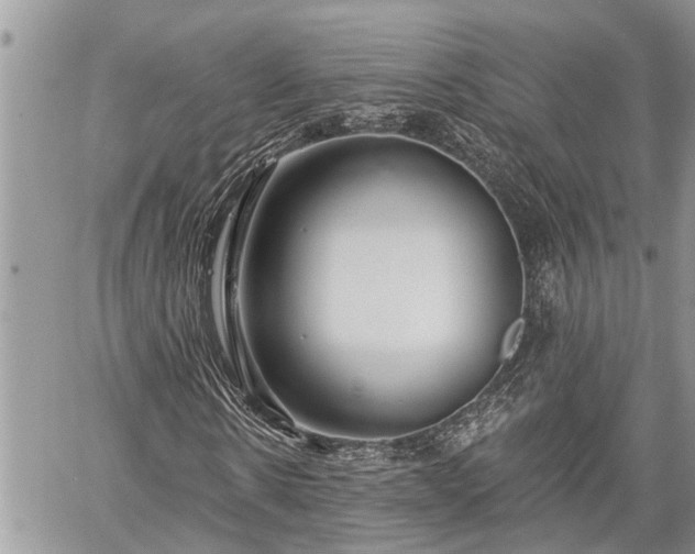 X0000060240914200510311518