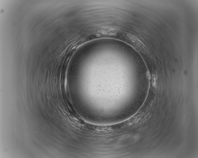 X0000060240915200510311518