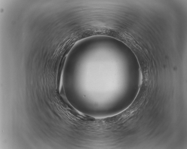 X0000060240916200510311518