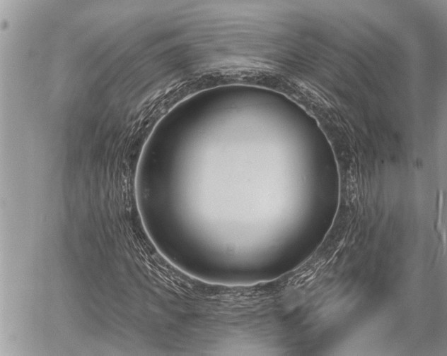 X0000060240917200510311518