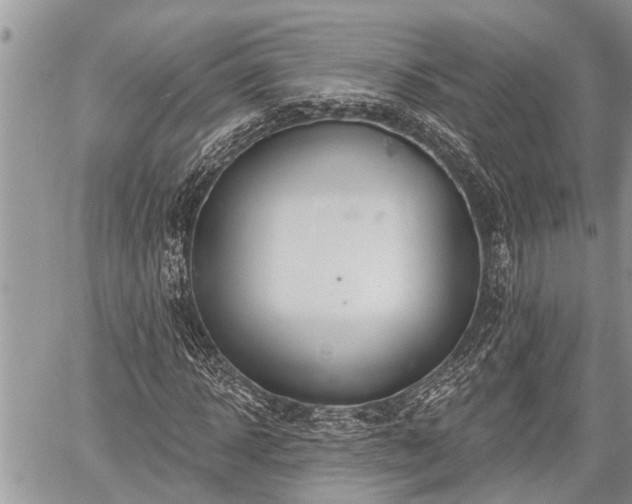 X0000060240918200510311518