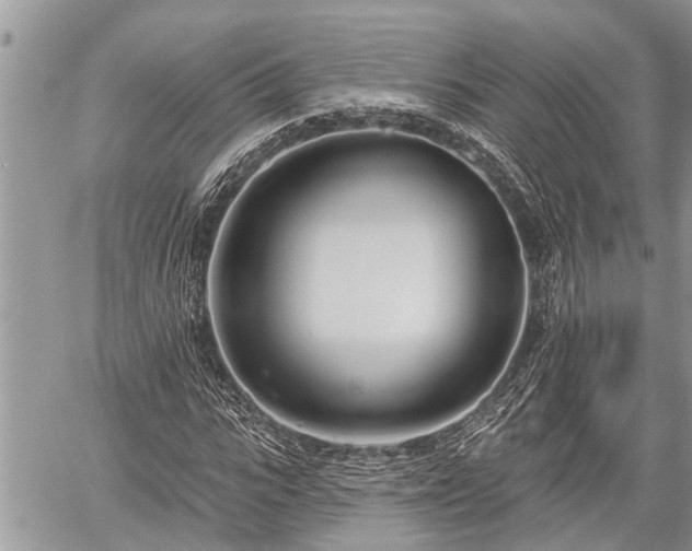 X0000060240919200510311518