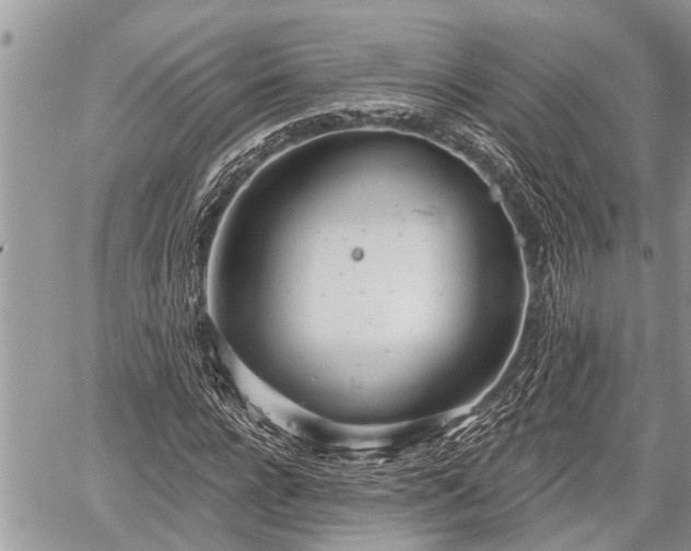 X0000060240920200510311518