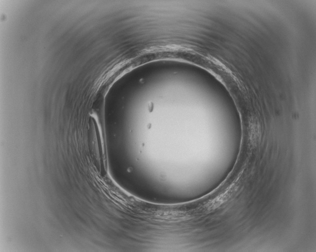 X0000060240921200510311518