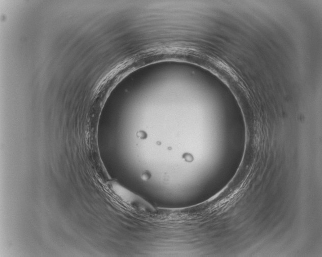 X0000060240922200510311518