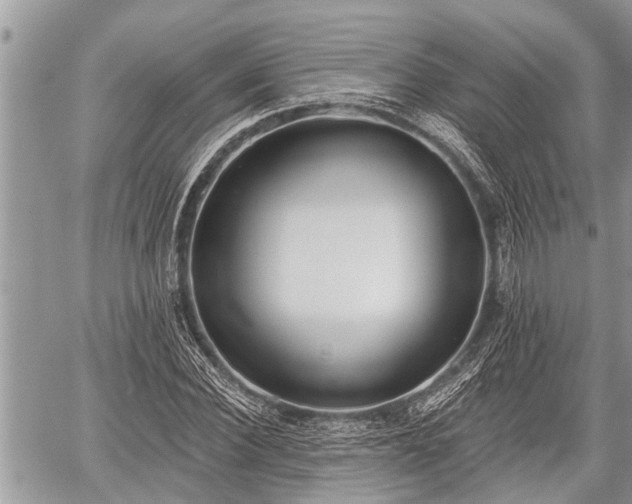 X0000060240924200510311518