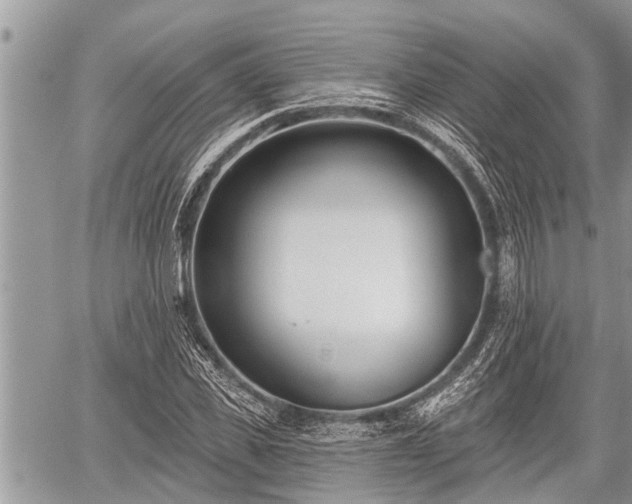 X0000060240925200510311518