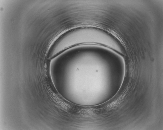 X0000060240926200510311518