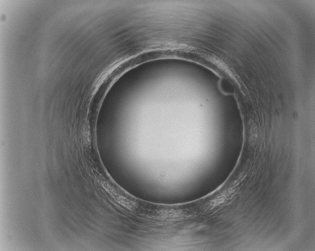 X0000060240927200510311518