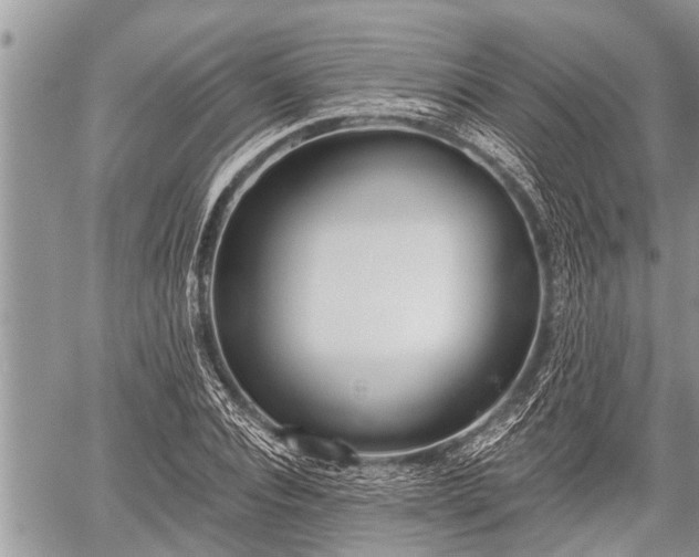 X0000060240928200510311518