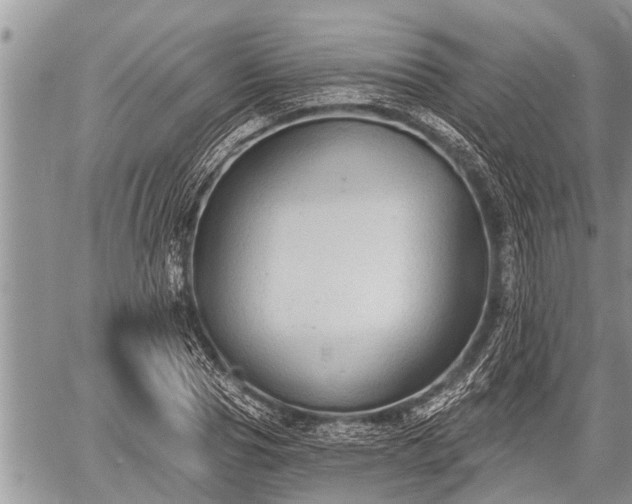 X0000060240929200510311518