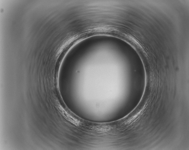 X0000060240930200510311518