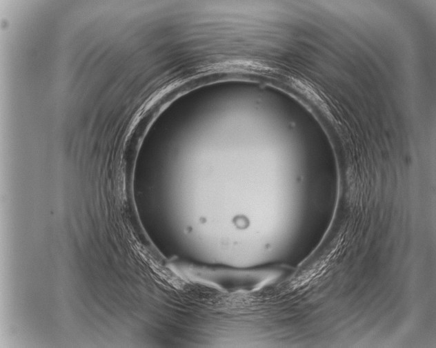 X0000060240931200510311518