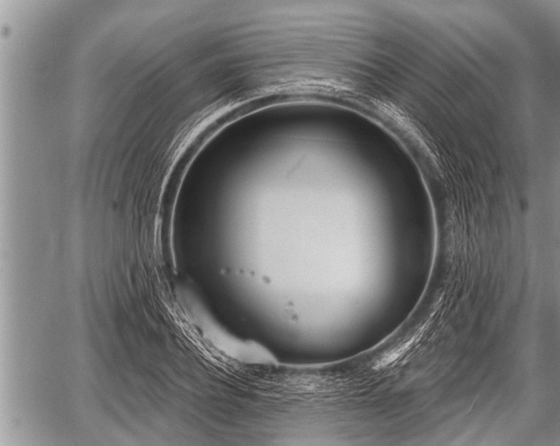 X0000060240932200510311518